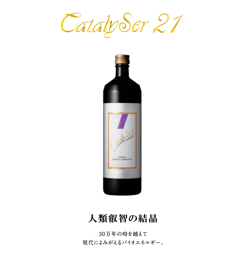 カタライザー21